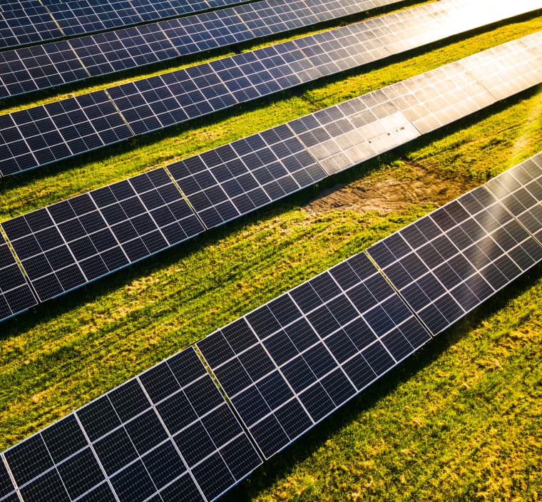 Environmental Impact-Focused Procurement Strategy